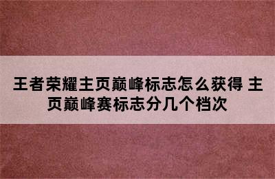 王者荣耀主页巅峰标志怎么获得 主页巅峰赛标志分几个档次